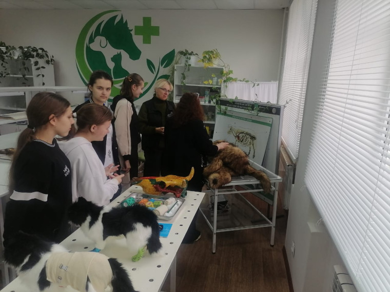 "Профессии в деталях".